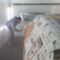 [ID: LdKhU1kAYMk] Youtube Automatic