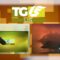 TG LIS 20 Marzo 2024