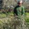 Villacidro Domenica delle Palme. Le Città dell’Olio sarde donano ramoscelli d’ulivo al Papa 21 03 24