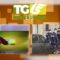 Tg LIS 6 Marzo 2024