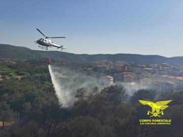 Photo_1723475087067