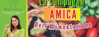 Privato: [ID: pW8k_YQGvPk] Youtube Automatic