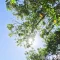 Domenica da record temperature sopra la media ma piogge in arrivo da mercoledì