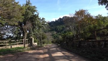 Parco di Tepilora