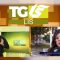 TG LIS DEL 01 APRILE 2025