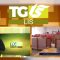 TG LIS 15 APRILE 2025