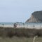 Cagliari, il Poetto e Marina Piccola si preparano all’inizio della stagione