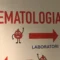 Nuova terapia antitumorale al Brotzu