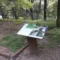 Il percorso dell’inclusione al parco Seleni di Lanusei