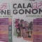 Cala Gonone Jazz Festival 2025: un viaggio tra musica, natura e innovazione