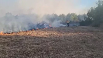 incendio d
