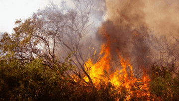 Incendi