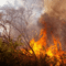 Incendi
