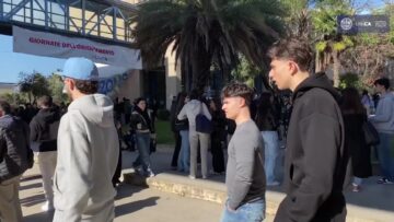 Università