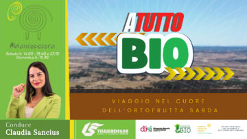 WhatsApp Image 2025-07-20 at 20.36.04