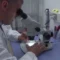 Dermatite, stasera incontro prefetta Nuoro