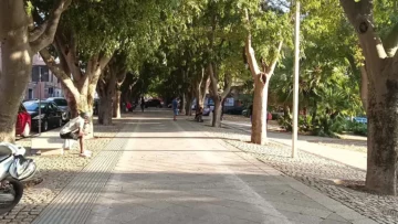 ss mek
