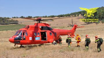Super puma