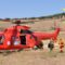 Super puma