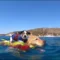 Eroi a quattro zampe: cani da salvataggio e prevenzione in mare