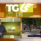 TG LIS 29 LUGLIO 2025