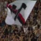 Serie A, Pisacane pronto alla sfida col Parma: “Il Cagliari deve giocare per i tre punti”