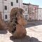 Nuoro, piazza Satta nell’incuria