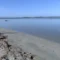 Zone umide dell’oristanese, ecosistemi fragili