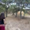 Da “Apilvia” a Berchidda l’esperienza di entrare dentro un alveare