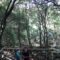 Passeggiate d’autunno in Marmilla, il turismo lento riparte con “Passeg…giare”