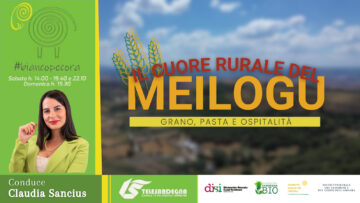 WhatsApp Image 2025-10-13 at 19.05.08