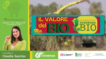 WhatsApp Image 2025-10-26 at 15.47.07