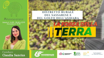 WhatsApp Image 2025-11-09 at 19.56.48