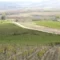 Vini sardi, in Marmilla si punta sul Bovale: tradizione e qualità
