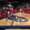 Basket, stasera alle 20.30 su TeleSardegna riprende la stagione europea della Dinamo