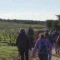 Il gran finale di “Passi di gusto” lungo il cammino minerario di Santa Barbara