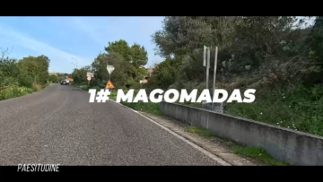 mago