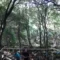 Al via “Passeg…giare”, una lunga camminata tra storia e ambiente in Marmilla