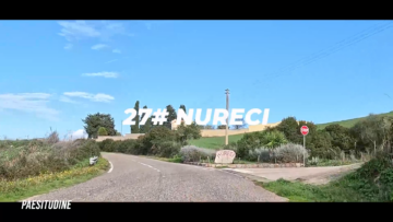 NURCEI