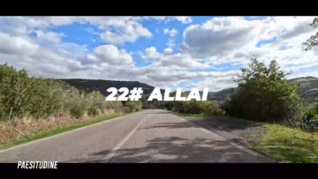 allai