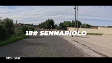 senna