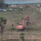 Cagliari, animale investito e preso a sassate in un cantiere: indagini in corso