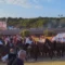 Decreto Abodi e tradizioni equestri: a Tramatza confronto tra cavalieri e amministratori