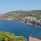 Castelsardo, nasce la rete per proteggere le tartarughe marine Caretta caretta
