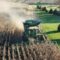 Agricoltura, dalla Regione oltre 40 milioni di euro per investimenti e innovazione nelle imprese sarde