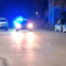 Mille piante di marijuana e telecamere solari: smantellata rete dello spaccio nel Nord Sardegna