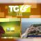 TG LIS 14 MAGGIO 2026