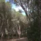Nuoro, la Pineta di Ugolio in Consiglio: l’amministrazione punta all’acquisizione dell’area