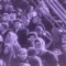 New York, Ellis Island: la porta d’ingresso per milioni di immigrati negli Stati Uniti. Un museo ne racconta l’epopea