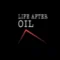 Ambiente e diritti umani: a Villanovaforru torna il Life After Oil Film Festival